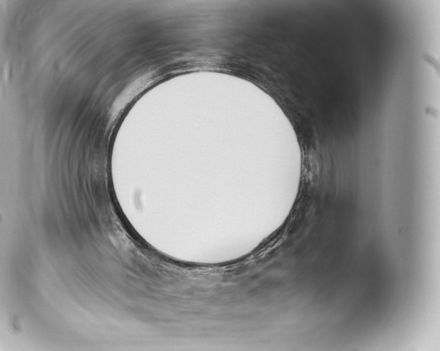 X0000103910004200810031223