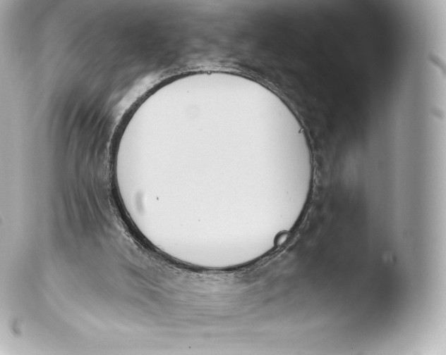 X0000103910008200810031223