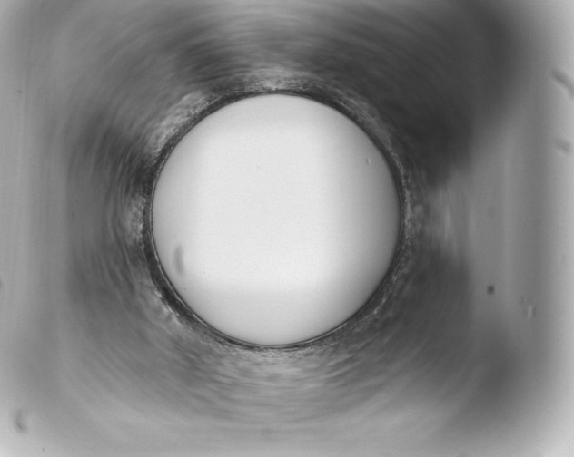 X0000103910010200810031223