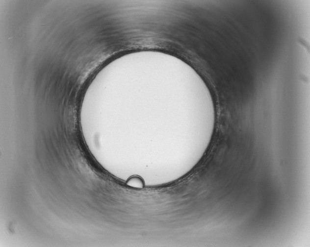 X0000103910012200810031223
