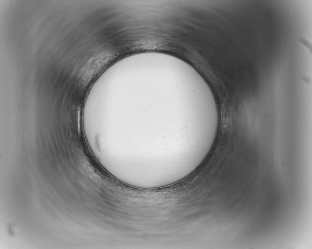 X0000103910014200810031223