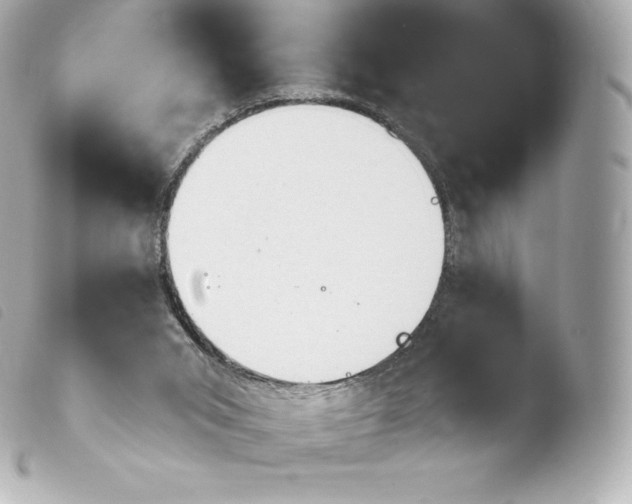 X0000103910015200810031223