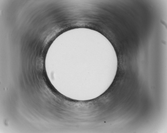 X0000103910016200810031223