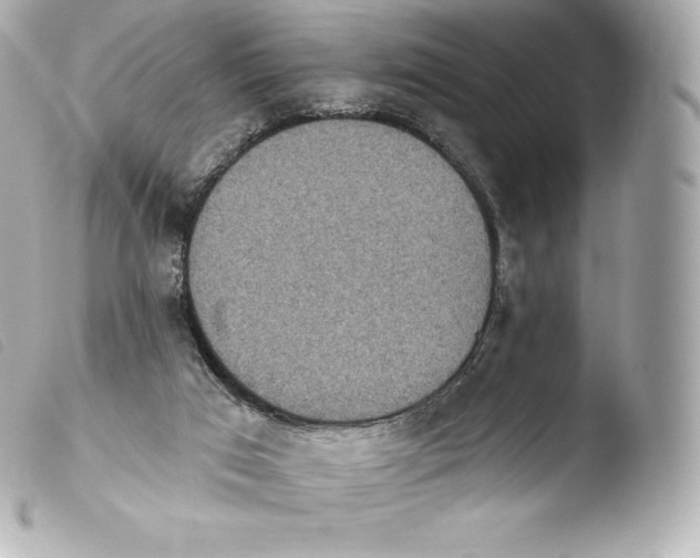 X0000103910017200810031223