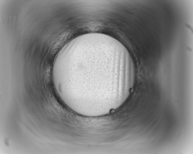 X0000103910018200810031223