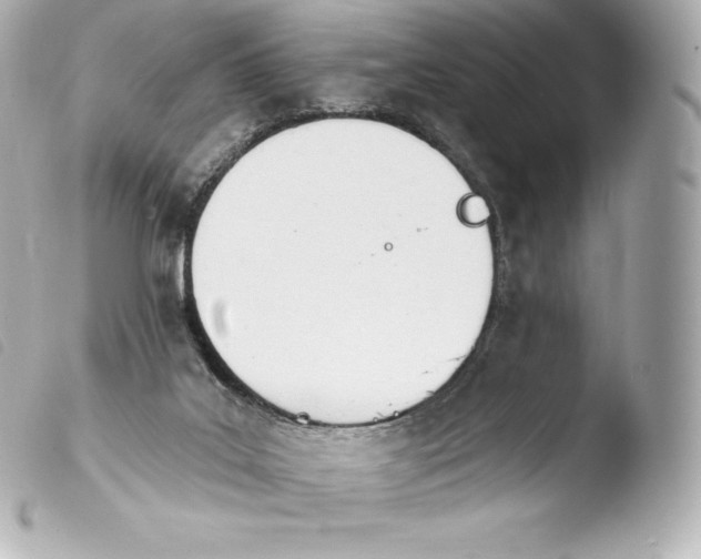 X0000103910019200810031223