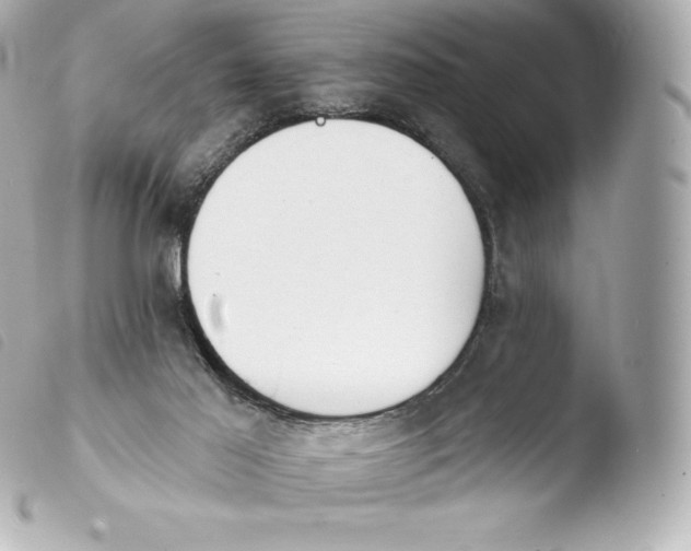 X0000103910021200810031223