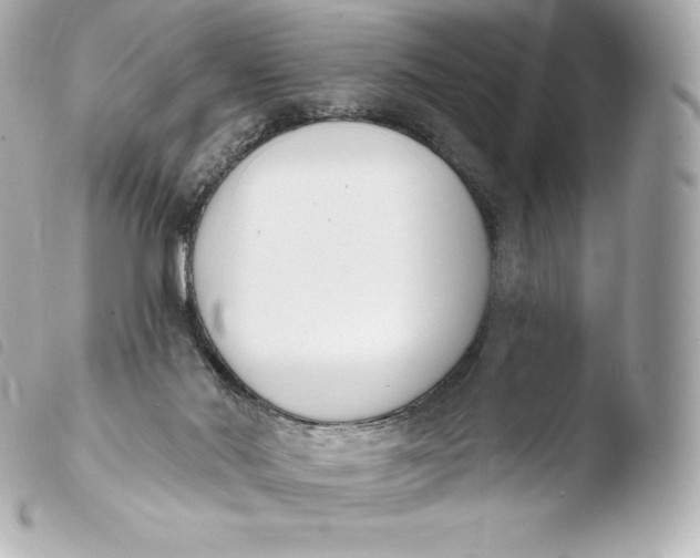 X0000103910022200810031223