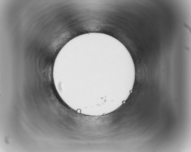 X0000103910023200810031223