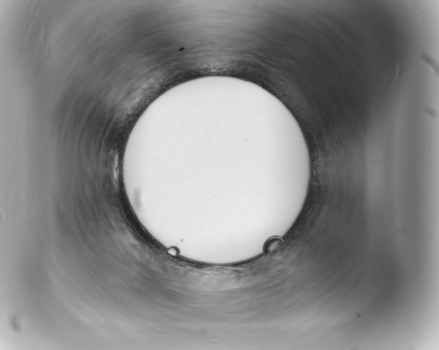 X0000103910024200810031223