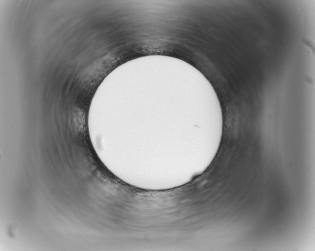 X0000103910025200810031223
