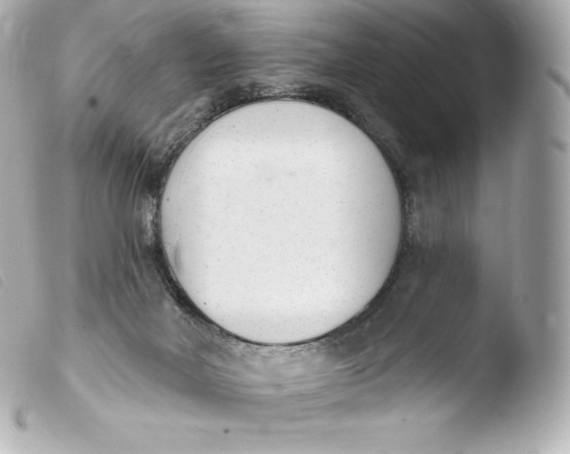 X0000103910026200810031223