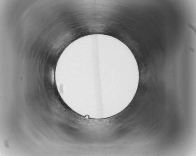 X0000103910027200810031223
