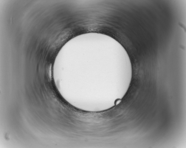 X0000103910028200810031223