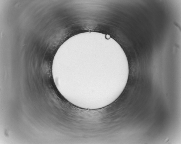 X0000103910031200810031223