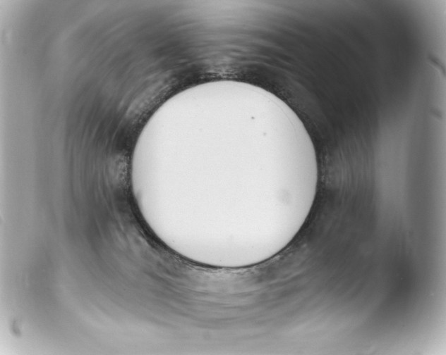 X0000103910036200810031223