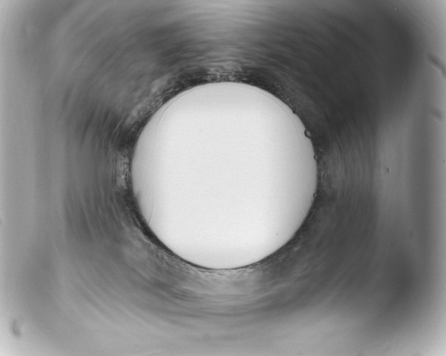 X0000103910038200810031223
