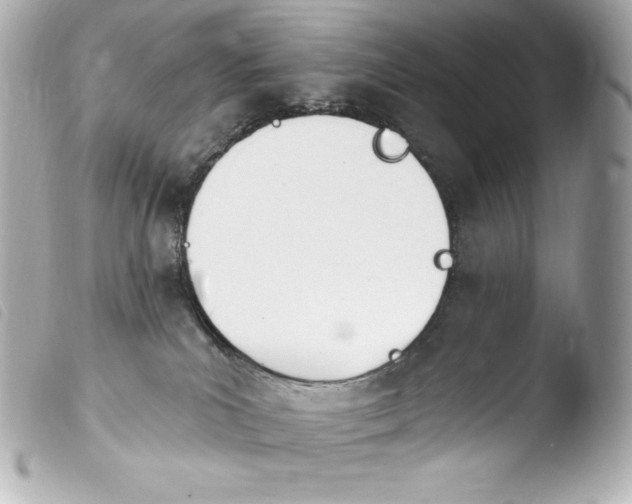 X0000103910039200810031223