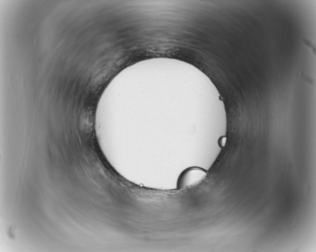 X0000103910040200810031223