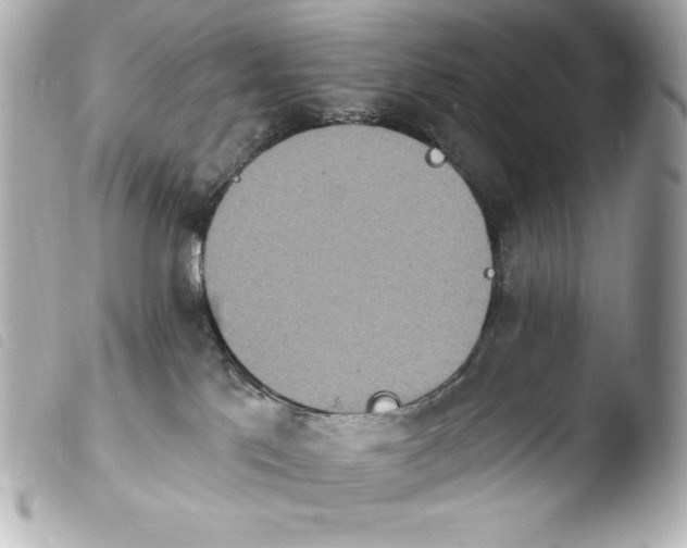 X0000103910041200810031223