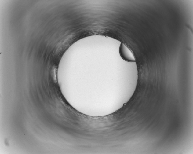 X0000103910042200810031223