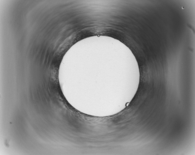 X0000103910044200810031223
