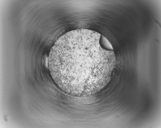 X0000103910046200810031223