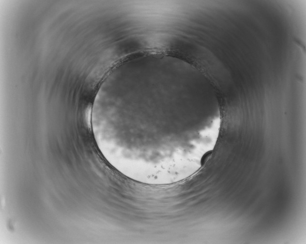 X0000103910047200810031223