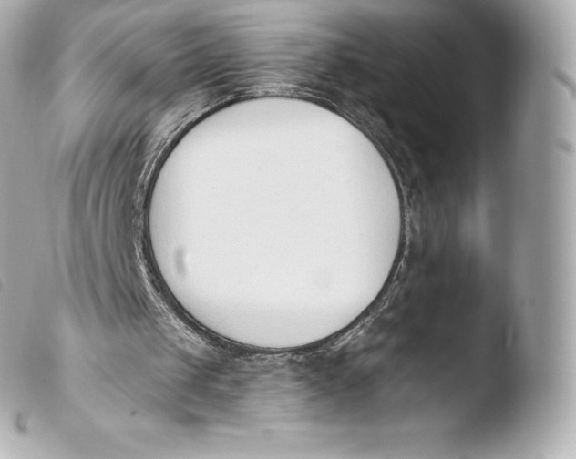 X0000103910049200810031222