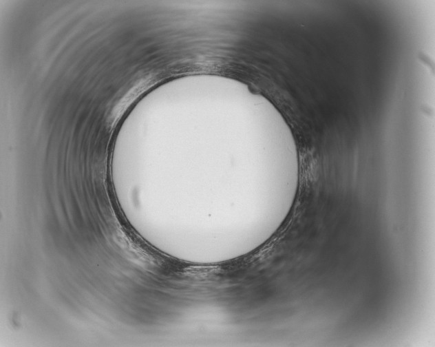 X0000103910051200810031222