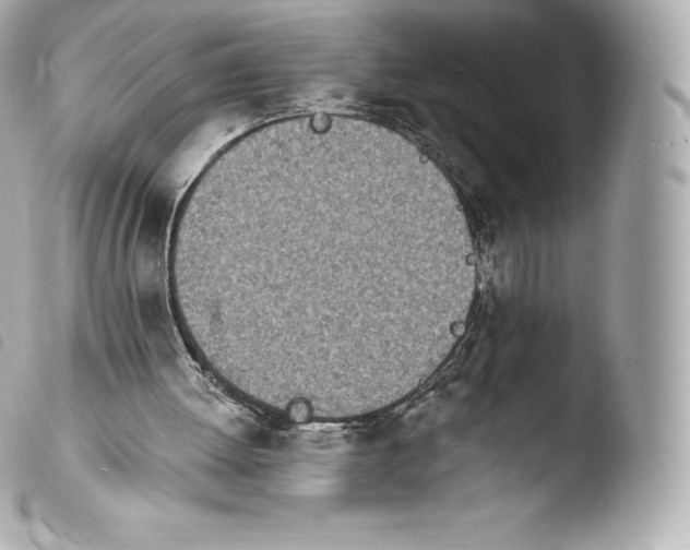 X0000103910052200810031222