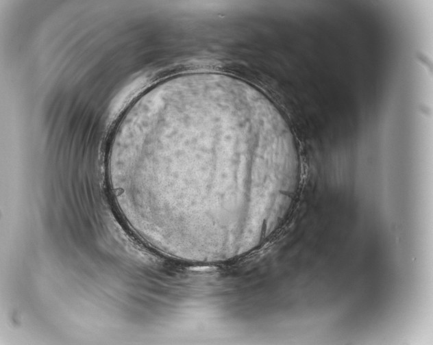 X0000103910053200810031222