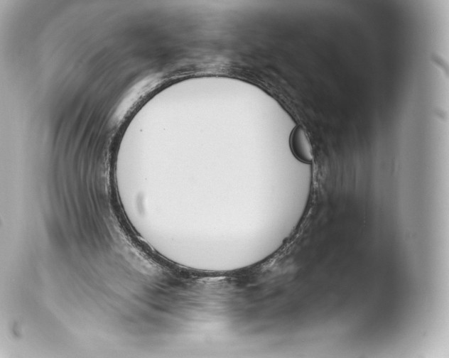X0000103910054200810031222
