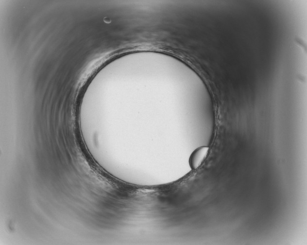 X0000103910055200810031222
