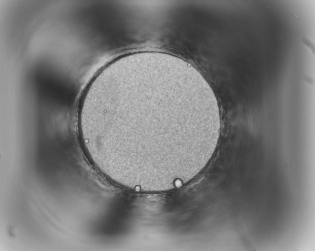 X0000103910056200810031222