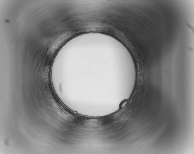 X0000103910058200810031222