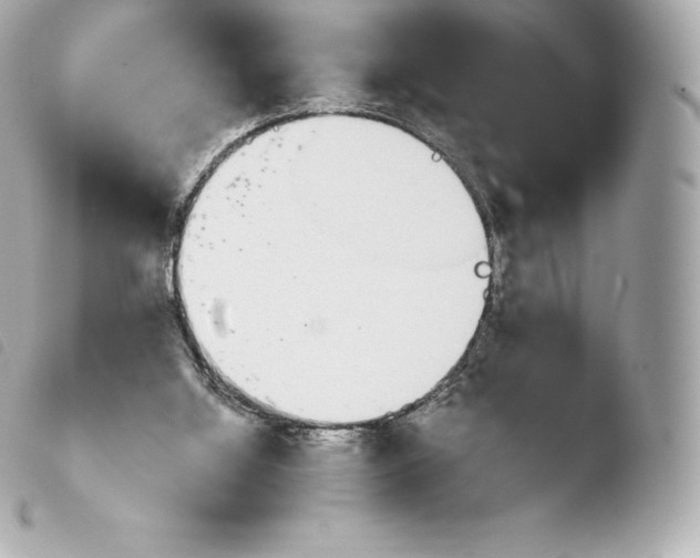 X0000103910060200810031222
