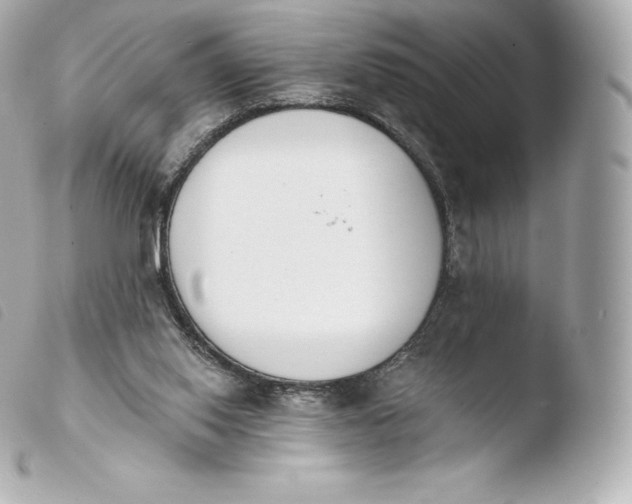 X0000103910062200810031222