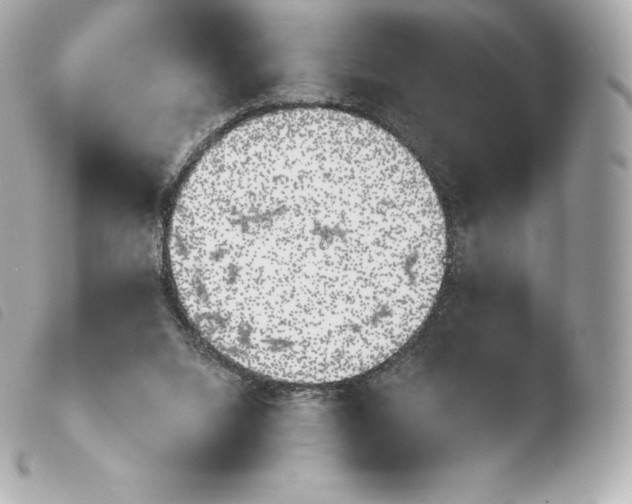X0000103910064200810031222