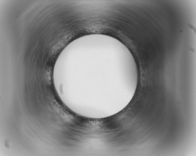 X0000103910065200810031222