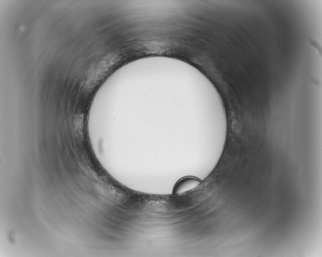 X0000103910066200810031222