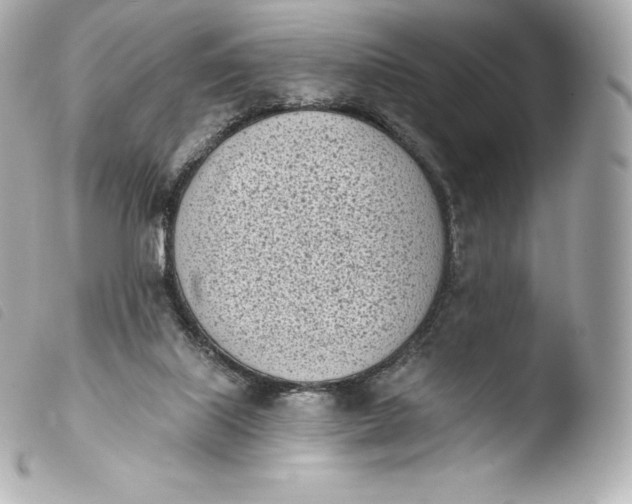 X0000103910067200810031222