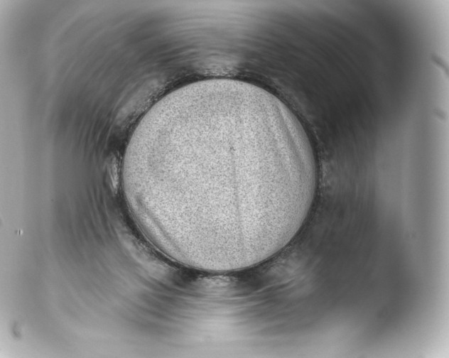 X0000103910069200810031222