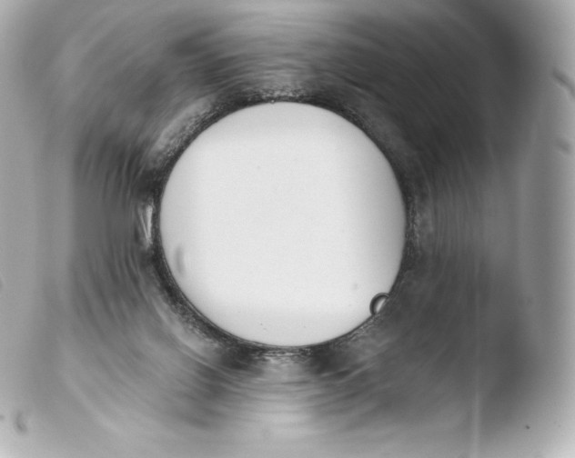 X0000103910070200810031222
