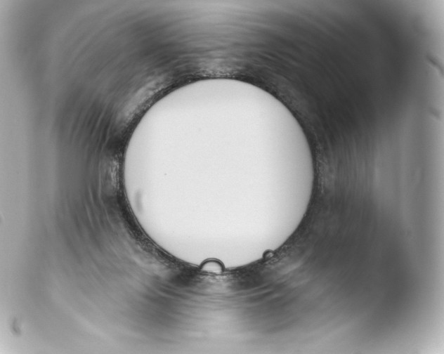 X0000103910071200810031222