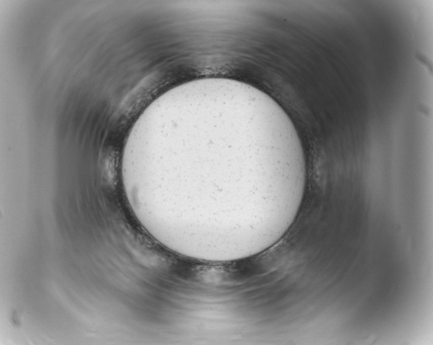 X0000103910074200810031222