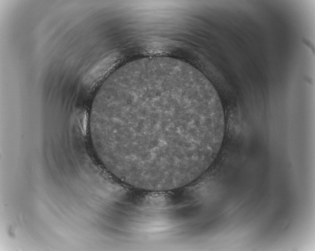 X0000103910076200810031222