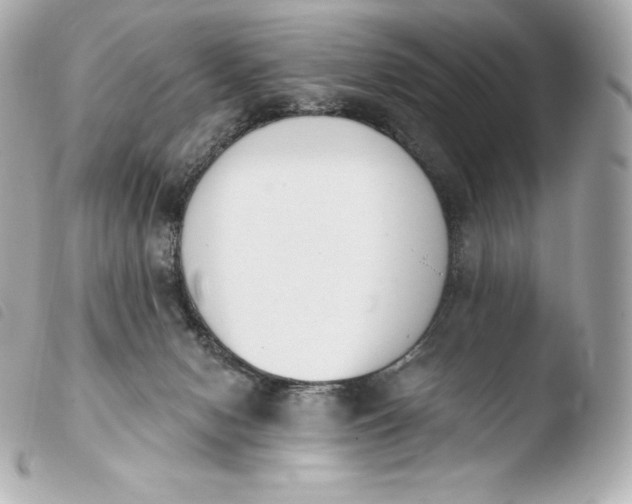 X0000103910078200810031223