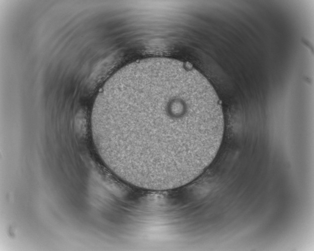 X0000103910080200810031223