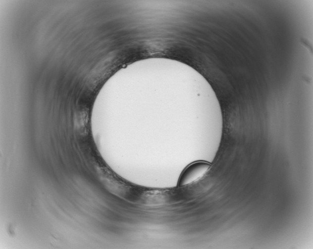 X0000103910082200810031223
